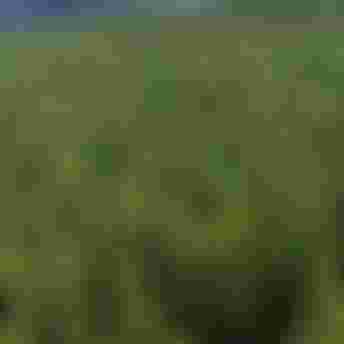 Fanatic SUP Sustainability