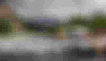 Fanatic SUP Inflatable