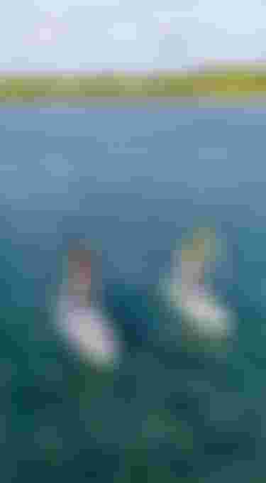 FAS-FanaticSUP-FlyAirSLT-RayAirSLT-Guadeloupe_Maria_Lisa_2025-TobyBromwich-0147