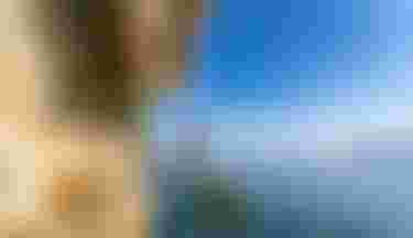 Fanatic SUP Inflatable