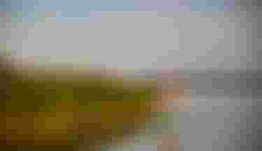 Fanatic SUP Inflatable