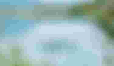 Fanatic SUP Inflatable