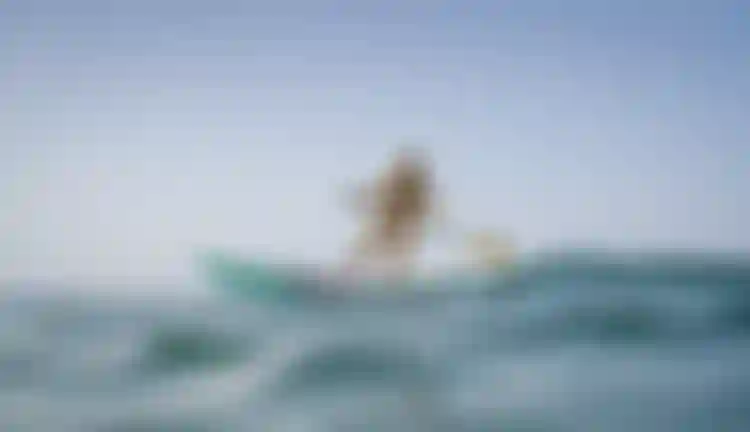 Fanatic SUP Composite Surf