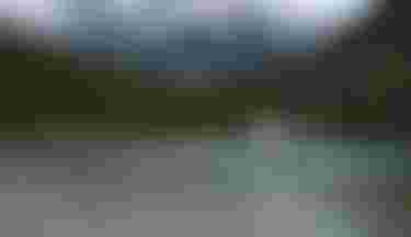 Fanatic SUP Inflatable Special