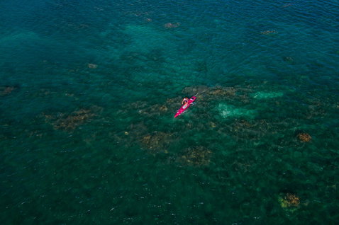 Duotone SUP Strike BXF race board 14" during SUP racing over coral reef in Maui