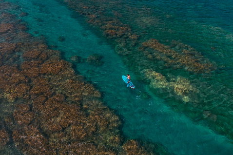 Duotone SUP Fly Air inflatable SUP board during paddling over coral reef in Maui