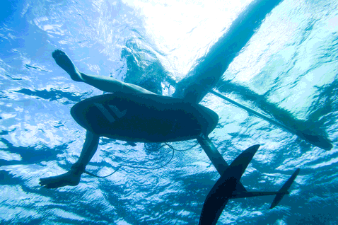Fanatic Aero AL 3.0 front wing 1500 during prone foiling in the ocean – underwater view
