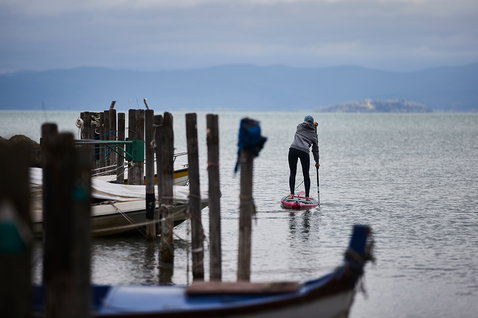 Fanatic Falcon Air Premium inflatable SUP raceboard during paddling on calm water near a wooden dock
